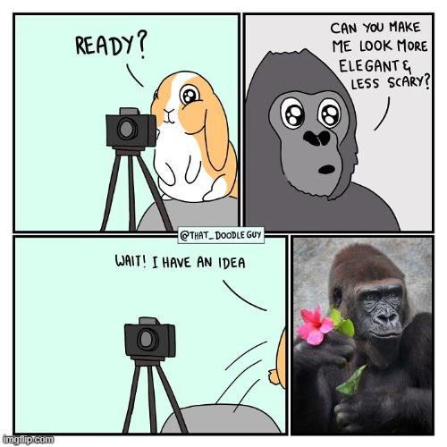 image tagged in bunny,gorilla,camera,flower | made w/ Imgflip meme maker