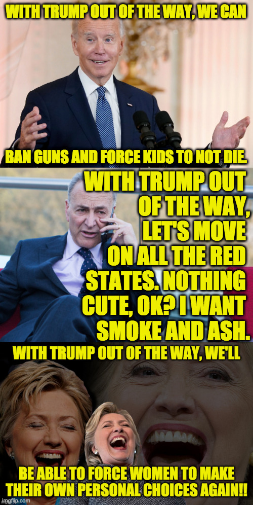 OMG, Trump was right!  The liberals are after you! | WITH TRUMP OUT OF THE WAY, WE CAN; BAN GUNS AND FORCE KIDS TO NOT DIE. WITH TRUMP OUT 
OF THE WAY,
LET'S MOVE 
ON ALL THE RED 
STATES. NOTHING 
CUTE, OK? I WANT 
SMOKE AND ASH. | image tagged in memes,maga | made w/ Imgflip meme maker
