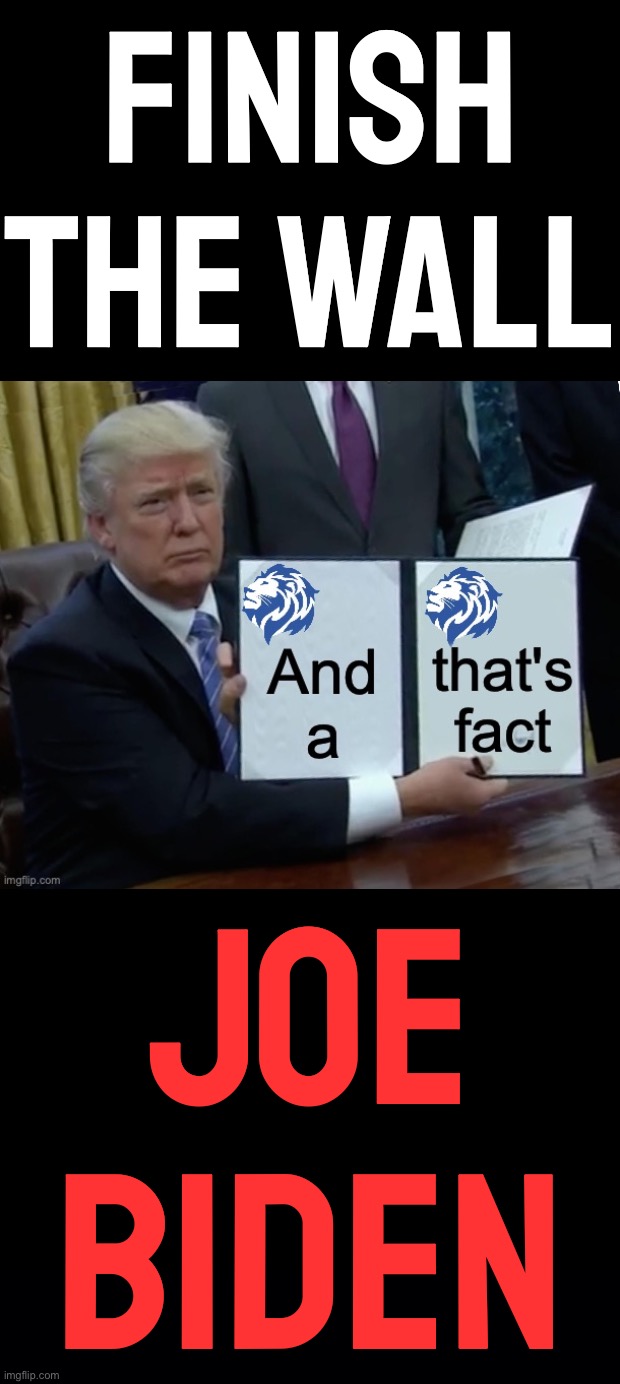 The American people SPOKE in ‘16 (and ‘20!) when they (re-!)elected Trump in LANDSLIDE VICTORIES. FINISH THE JOB JOE. #TRUMP2024 | FINISH THE WALL; JOE BIDEN | image tagged in donald trump conservative party and that s a fact,black background | made w/ Imgflip meme maker