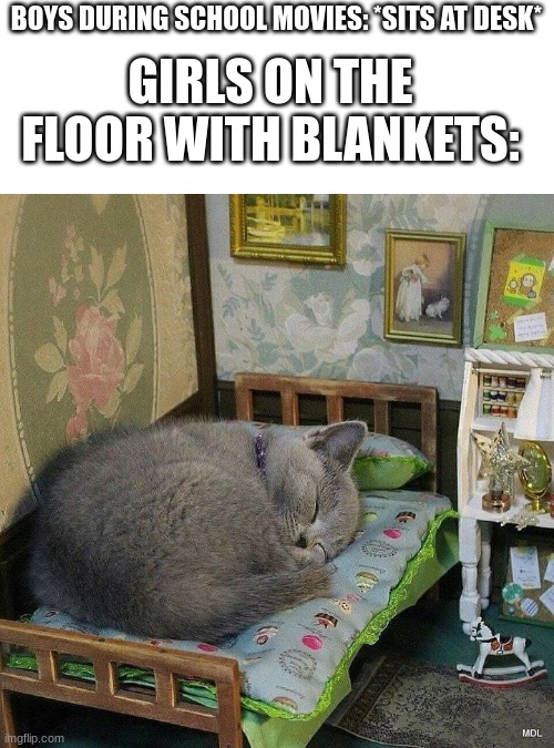 might just be me | BOYS DURING SCHOOL MOVIES: *SITS AT DESK*; GIRLS ON THE FLOOR WITH BLANKETS: | image tagged in giant cat in bed | made w/ Imgflip meme maker