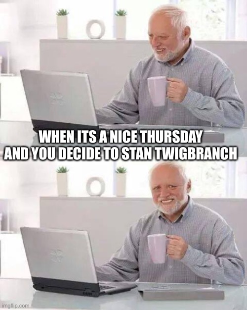 Twig | WHEN ITS A NICE THURSDAY AND YOU DECIDE TO STAN TWIGBRANCH | image tagged in memes,hide the pain harold | made w/ Imgflip meme maker