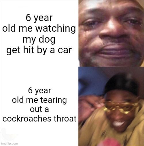 Sad Happy | 6 year old me watching my dog get hit by a car; 6 year old me tearing out a cockroaches throat | image tagged in sad happy | made w/ Imgflip meme maker
