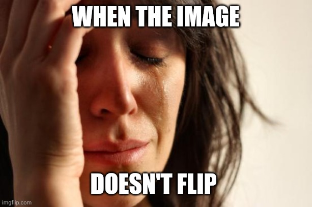 It will be a tragic day... | WHEN THE IMAGE; DOESN'T FLIP | image tagged in memes,first world problems,imgflip | made w/ Imgflip meme maker