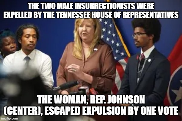 now they're crying racism | THE TWO MALE INSURRECTIONISTS WERE EXPELLED BY THE TENNESSEE HOUSE OF REPRESENTATIVES; THE WOMAN, REP. JOHNSON (CENTER), ESCAPED EXPULSION BY ONE VOTE | made w/ Imgflip meme maker