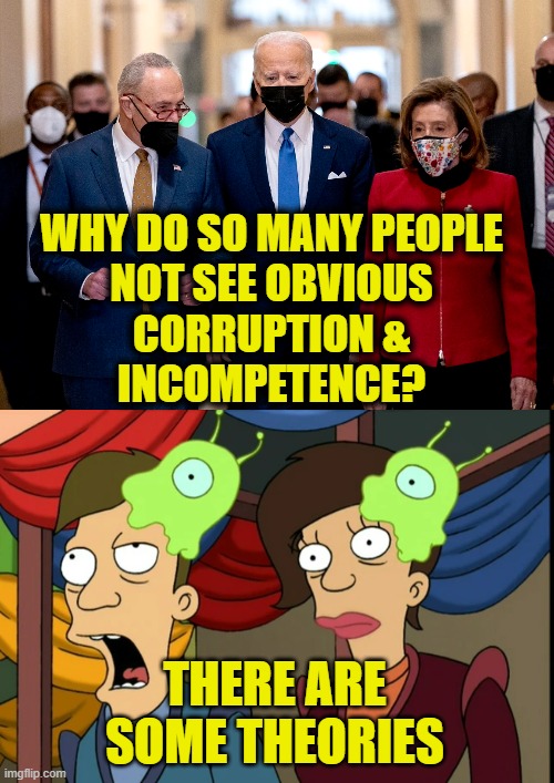 Brain Slug Epidemic | WHY DO SO MANY PEOPLE
NOT SEE OBVIOUS
CORRUPTION &
INCOMPETENCE? THERE ARE
SOME THEORIES | image tagged in biden | made w/ Imgflip meme maker