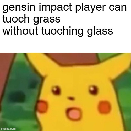Surprised Pikachu Meme | gensin impact player can 
tuoch grass without tuoching glass | image tagged in memes,surprised pikachu | made w/ Imgflip meme maker