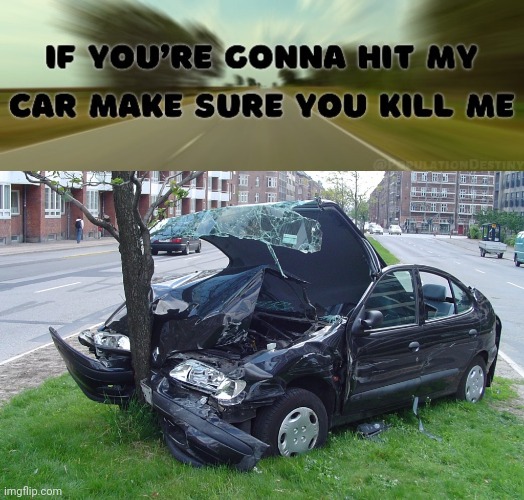 Road kill | image tagged in car crash,dark humor,road kill,memes,car,killing | made w/ Imgflip meme maker