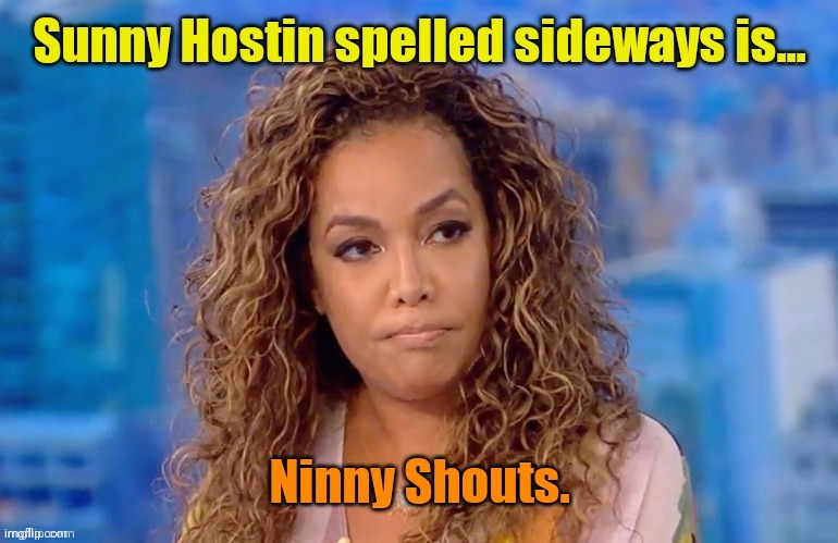 The View's (LOL) "Legal Expert" | made w/ Imgflip meme maker