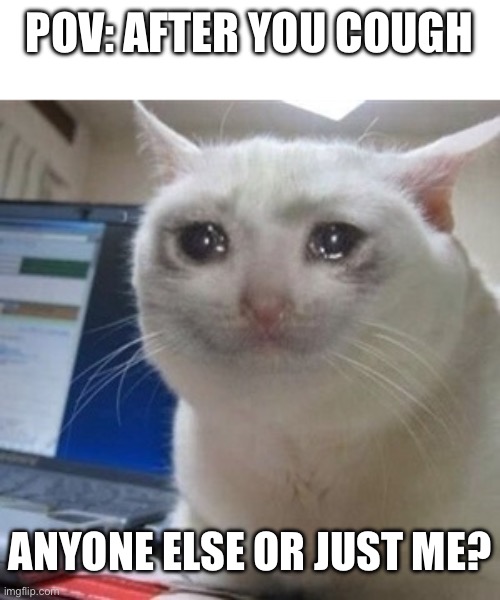 Anyone else? | POV: AFTER YOU COUGH; ANYONE ELSE OR JUST ME? | image tagged in crying cat,cough | made w/ Imgflip meme maker