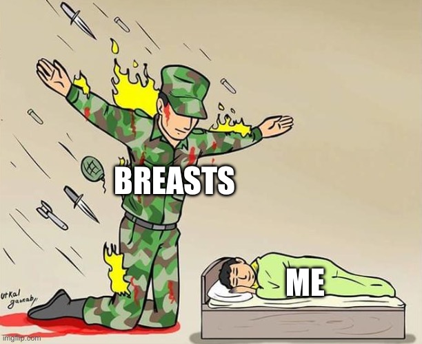 The Silent Protector | BREASTS; ME | image tagged in the silent protector | made w/ Imgflip meme maker