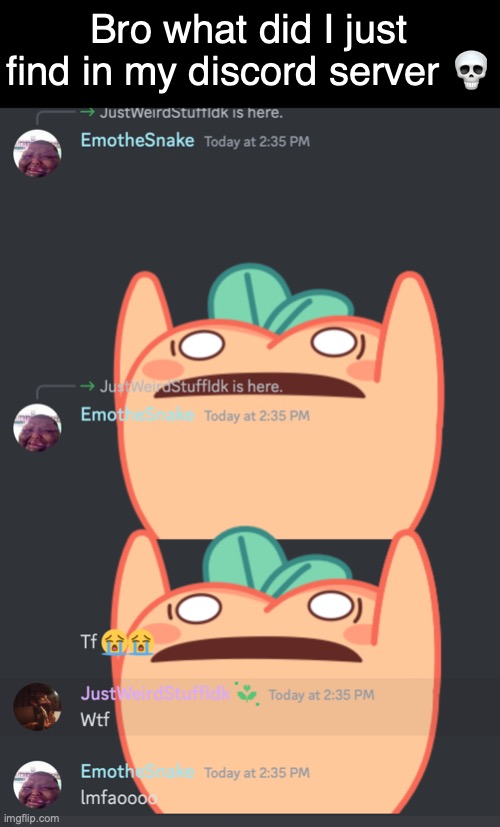 it's not the egg server so I'm not linking it | Bro what did I just find in my discord server 💀 | made w/ Imgflip meme maker
