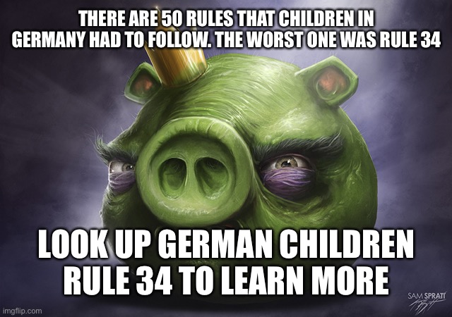 Angry Birds Realistic King Pig | THERE ARE 50 RULES THAT CHILDREN IN GERMANY HAD TO FOLLOW. THE WORST ONE WAS RULE 34; LOOK UP GERMAN CHILDREN RULE 34 TO LEARN MORE | image tagged in angry birds realistic king pig | made w/ Imgflip meme maker