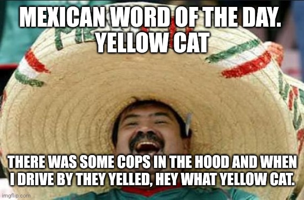 mexican word of the day | MEXICAN WORD OF THE DAY. 
YELLOW CAT; THERE WAS SOME COPS IN THE HOOD AND WHEN I DRIVE BY THEY YELLED, HEY WHAT YELLOW CAT. | image tagged in mexican word of the day | made w/ Imgflip meme maker