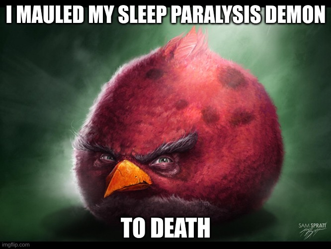 Realistic Angry Bird (big red) | I MAULED MY SLEEP PARALYSIS DEMON; TO DEATH | image tagged in realistic angry bird big red | made w/ Imgflip meme maker