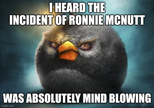 angry birds bomb | I HEARD THE INCIDENT OF RONNIE MCNUTT; WAS ABSOLUTELY MIND BLOWING | image tagged in angry birds bomb | made w/ Imgflip meme maker