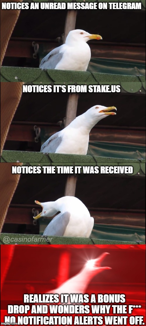 Angry at the world for missing a bonus drop | NOTICES AN UNREAD MESSAGE ON TELEGRAM; NOTICES IT'S FROM STAKE.US; NOTICES THE TIME IT WAS RECEIVED; @casinofarmer; REALIZES IT WAS A BONUS DROP AND WONDERS WHY THE F*** NO NOTIFICATION ALERTS WENT OFF. | image tagged in enraged seagull,bonus drop,phone sucks,freemoney,stakeus | made w/ Imgflip meme maker