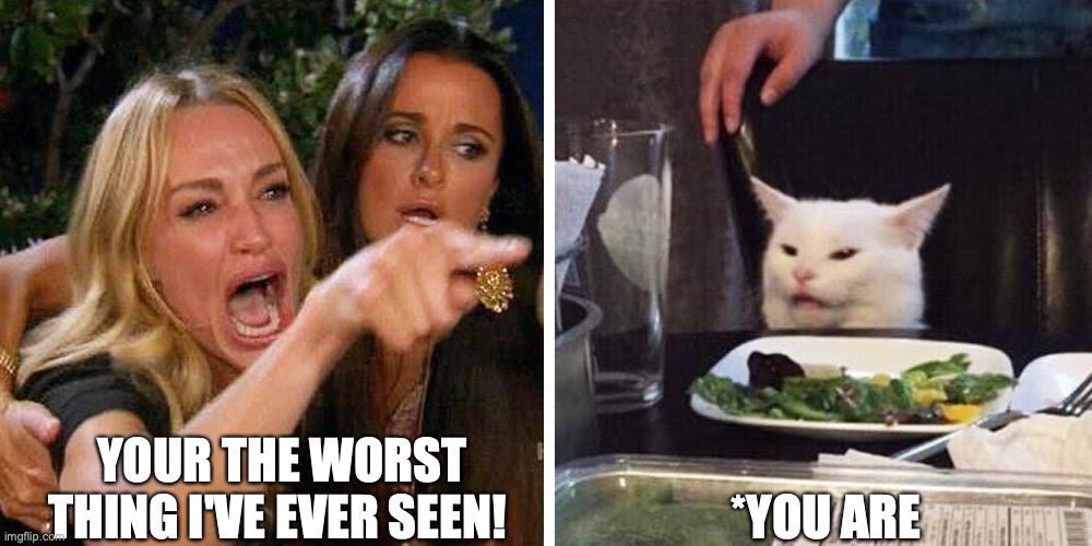 grammar mistake | YOUR THE WORST THING I'VE EVER SEEN! *YOU ARE | image tagged in smudge the cat | made w/ Imgflip meme maker
