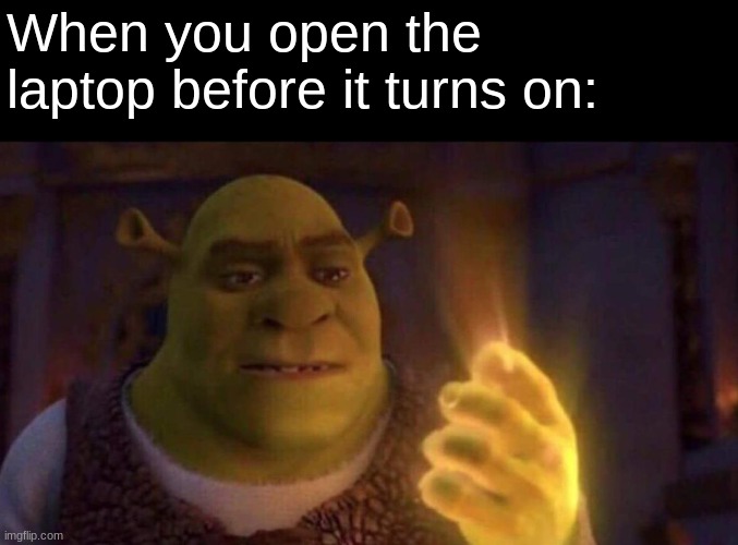 Shrek Glowing Hand | When you open the laptop before it turns on: | image tagged in shrek glowing hand | made w/ Imgflip meme maker