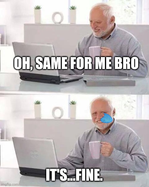 It's fine | OH, SAME FOR ME BRO; IT'S...FINE. | image tagged in memes,hide the pain harold | made w/ Imgflip meme maker