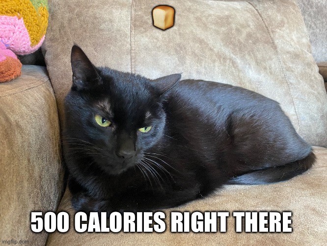 🍞; 500 CALORIES RIGHT THERE | made w/ Imgflip meme maker