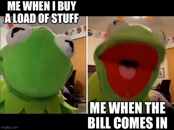 Kermit | ME WHEN I BUY A LOAD OF STUFF; ME WHEN THE BILL COMES IN | image tagged in kermit the frog | made w/ Imgflip meme maker