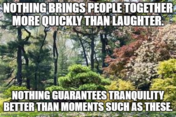 NOTHING BRINGS PEOPLE TOGETHER MORE QUICKLY THAN LAUGHTER. NOTHING GUARANTEES TRANQUILITY BETTER THAN MOMENTS SUCH AS THESE. | made w/ Imgflip meme maker