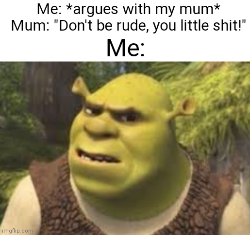Anyone else experience this? Parents can be hypocrites sometimes ngl | Me: *argues with my mum*
Mum: "Don't be rude, you little shit!"; Me: | image tagged in blank white template,confused shrek,parents,relatable,argument | made w/ Imgflip meme maker