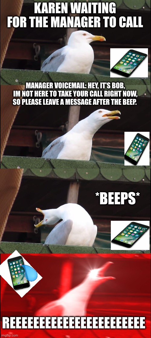 Karen | KAREN WAITING FOR THE MANAGER TO CALL; MANAGER VOICEMAIL: HEY, IT’S BOB, IM NOT HERE TO TAKE YOUR CALL RIGHT NOW, SO PLEASE LEAVE A MESSAGE AFTER THE BEEP. *BEEPS*; REEEEEEEEEEEEEEEEEEEEEEE | image tagged in memes,inhaling seagull | made w/ Imgflip meme maker