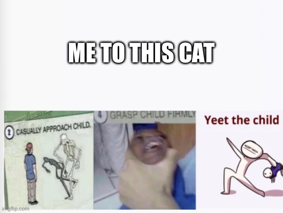 Casually Approach Child, Grasp Child Firmly, Yeet the Child | ME TO THIS CAT | image tagged in casually approach child grasp child firmly yeet the child | made w/ Imgflip meme maker