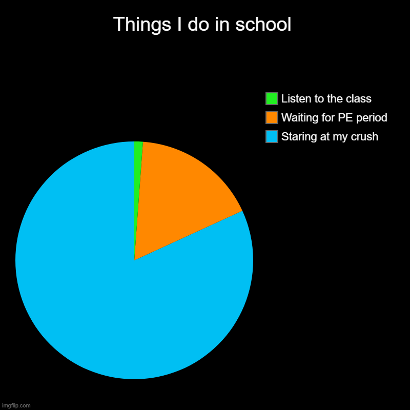 Come to school, do this, go home and repeat tomorrow | Things I do in school | Staring at my crush, Waiting for PE period, Listen to the class | image tagged in charts,pie charts | made w/ Imgflip chart maker