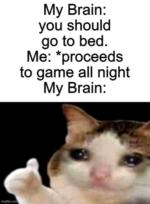 Sad cat thumbs up white spacing | My Brain: you should go to bed.
Me: *proceeds to game all night
My Brain: | image tagged in sad cat thumbs up white spacing | made w/ Imgflip meme maker