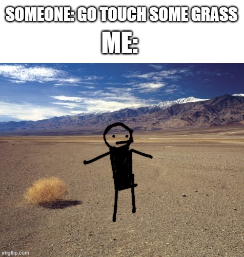 Whats grass??? | SOMEONE: GO TOUCH SOME GRASS; ME: | image tagged in memes,blank transparent square,desert tumbleweed | made w/ Imgflip meme maker