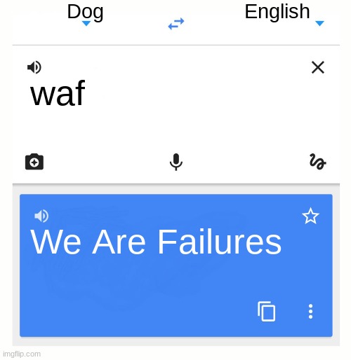 Enter a name | Dog; English; waf; We Are Failures | image tagged in google translate | made w/ Imgflip meme maker