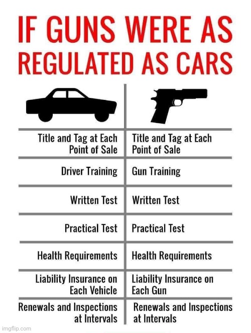 It seems like common sense. | image tagged in guns and car regulation,dangerous,safety first,mass shootings | made w/ Imgflip meme maker