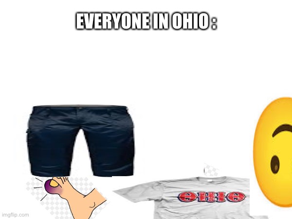 Ohio People | EVERYONE IN OHIO : | image tagged in ohio,people | made w/ Imgflip meme maker