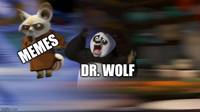 Me making Dr. Wolf | MEMES; DR. WOLF | image tagged in what's going on | made w/ Imgflip meme maker