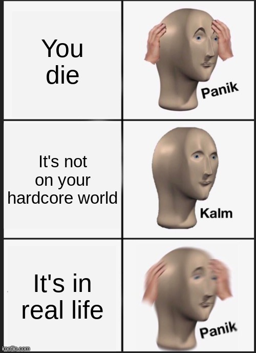 Panik Kalm Panik | You die; It's not on your hardcore world; It's in real life | image tagged in memes,panik kalm panik | made w/ Imgflip meme maker