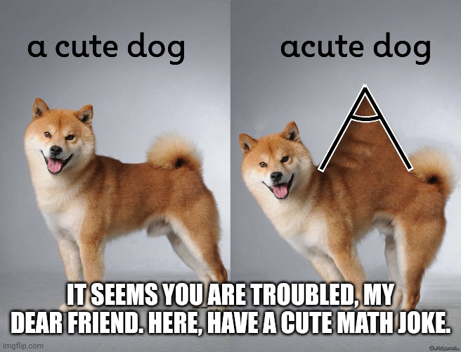 Cute Math Joke | IT SEEMS YOU ARE TROUBLED, MY DEAR FRIEND. HERE, HAVE A CUTE MATH JOKE. | image tagged in cute,fun,math,doge | made w/ Imgflip meme maker