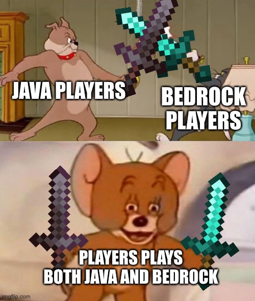 Minecraft Players | JAVA PLAYERS; BEDROCK PLAYERS; PLAYERS PLAYS BOTH JAVA AND BEDROCK | image tagged in tom and jerry swordfight | made w/ Imgflip meme maker