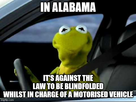 Important information for people in Alabama | IN ALABAMA; IT'S AGAINST THE LAW TO BE BLINDFOLDED WHILST IN CHARGE OF A MOTORISED VEHICLE | image tagged in kermit car | made w/ Imgflip meme maker