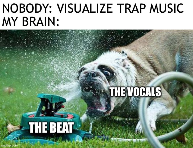Sprinkler | NOBODY: VISUALIZE TRAP MUSIC
MY BRAIN:; THE VOCALS; THE BEAT | image tagged in sprinkler | made w/ Imgflip meme maker
