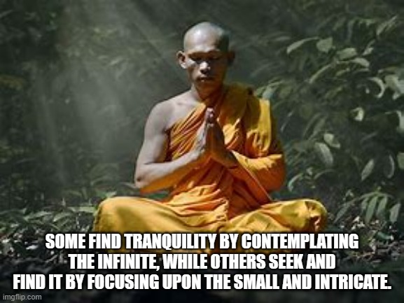 SOME FIND TRANQUILITY BY CONTEMPLATING THE INFINITE, WHILE OTHERS SEEK AND FIND IT BY FOCUSING UPON THE SMALL AND INTRICATE. | made w/ Imgflip meme maker