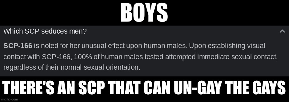 BOYS; THERE'S AN SCP THAT CAN UN-GAY THE GAYS | made w/ Imgflip meme maker
