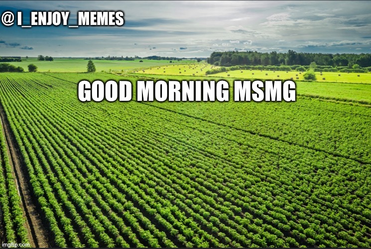 I_enjoy_memes_template | GOOD MORNING MSMG | image tagged in i_enjoy_memes_template | made w/ Imgflip meme maker