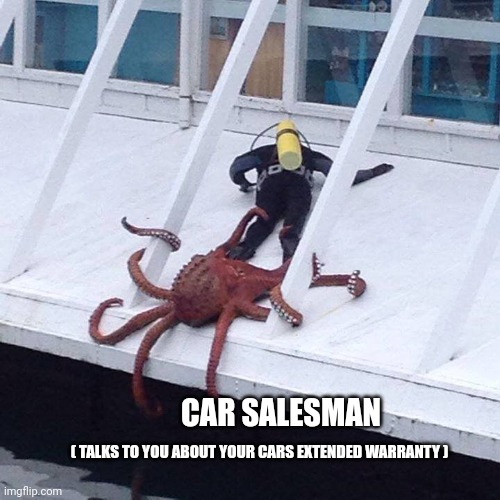 octopus | CAR SALESMAN ( TALKS TO YOU ABOUT YOUR CARS EXTENDED WARRANTY ) | image tagged in octopus | made w/ Imgflip meme maker