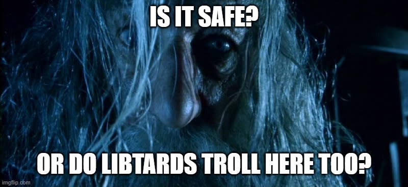 Is It Secret? Gandalf | IS IT SAFE? OR DO LIBTARDS TROLL HERE TOO? | image tagged in is it secret gandalf | made w/ Imgflip meme maker