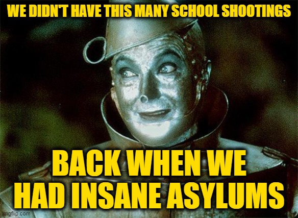 Mental Health Crisis | WE DIDN'T HAVE THIS MANY SCHOOL SHOOTINGS; BACK WHEN WE HAD INSANE ASYLUMS | image tagged in tin man just sayin' | made w/ Imgflip meme maker