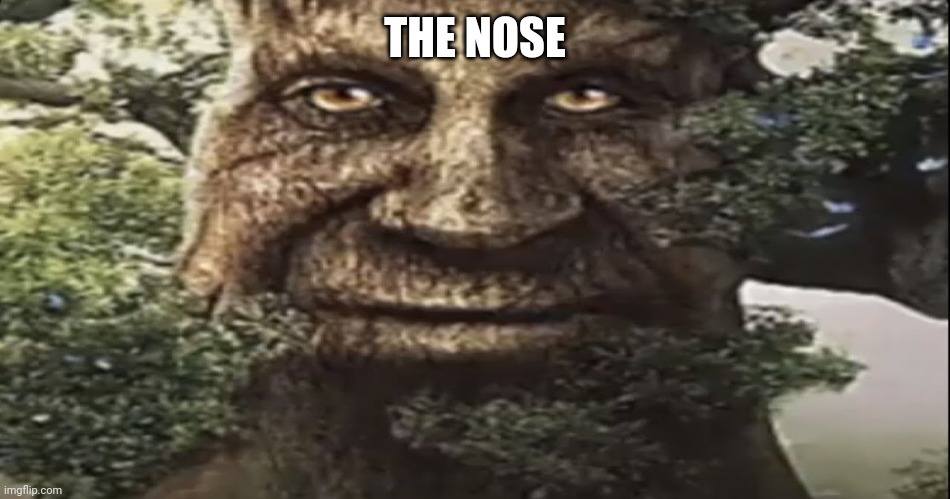 Wise mystical tree | THE NOSE | image tagged in wise mystical tree | made w/ Imgflip meme maker