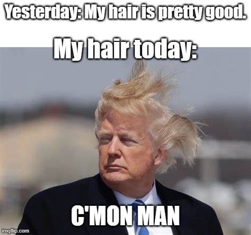 Yesterday: My hair is pretty good. My hair today:; C'MON MAN | image tagged in funny | made w/ Imgflip meme maker