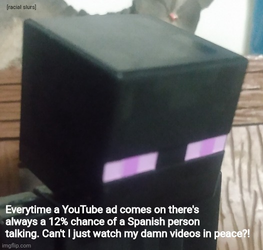 Enderman stare | [racial slurs]; Everytime a YouTube ad comes on there's always a 12% chance of a Spanish person talking. Can't I just watch my damn videos in peace?! | image tagged in enderman stare | made w/ Imgflip meme maker